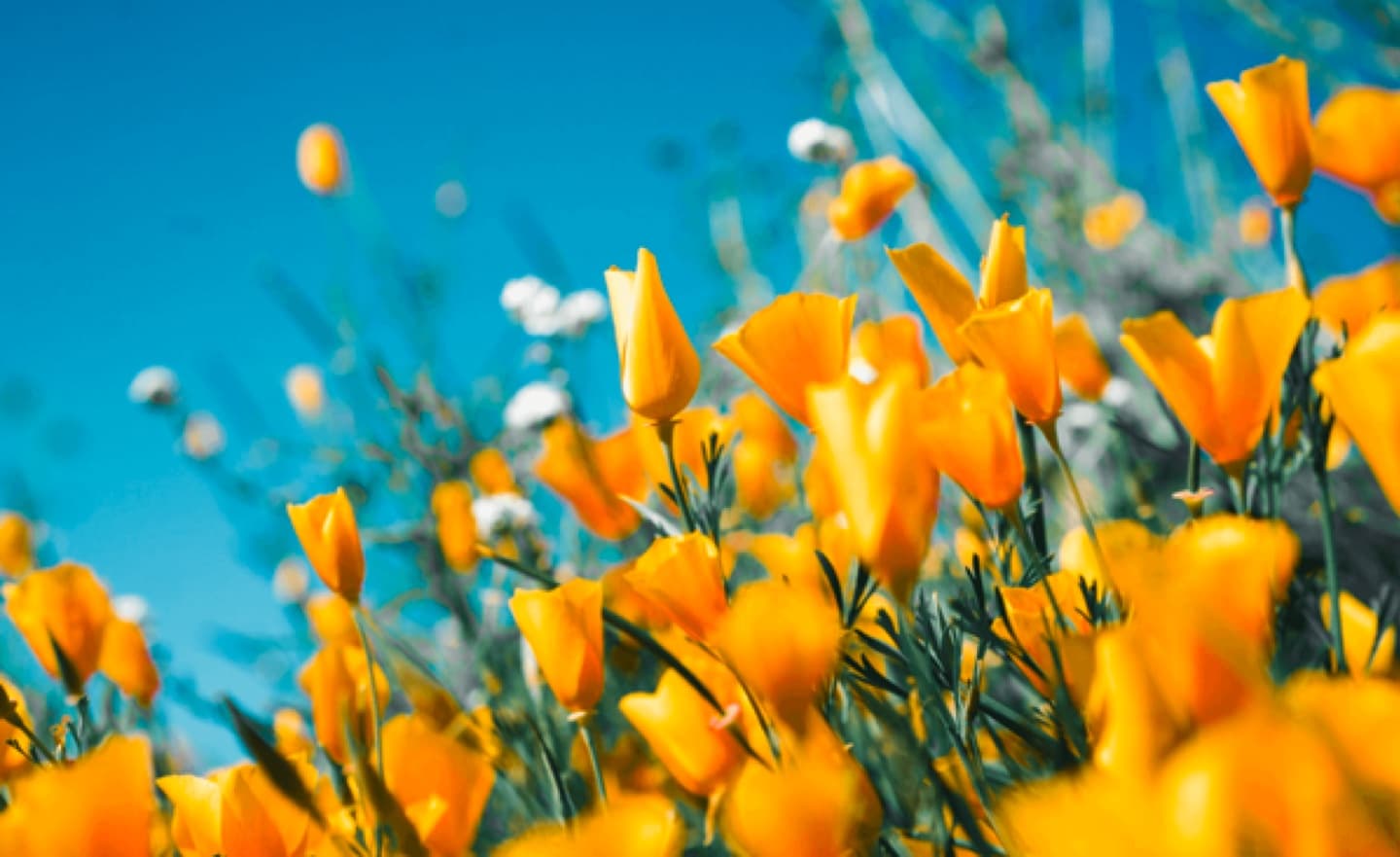 8 essential questions to ask if you’ve just received a large share payout